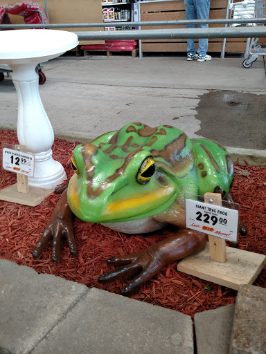 Home Improvement Store «Menards», reviews and photos, 11357 N Linden Rd, Clio, MI 48420, USA