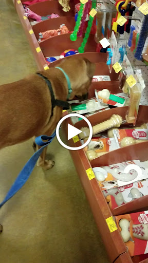 Pet Supply Store «PetSmart», reviews and photos, 2940 Chapel Hill Rd, Douglasville, GA 30135, USA