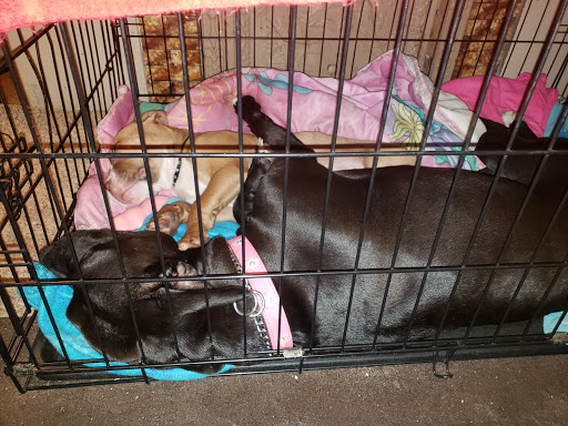 Maplewood Animal Clinic