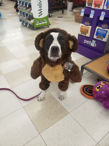 Pet Supply Store «Petco Animal Supplies», reviews and photos, 12163 Sheridan Blvd, Broomfield, CO 80020, USA