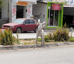 Barbacoa De Borrego Estilo Xochimilco photo