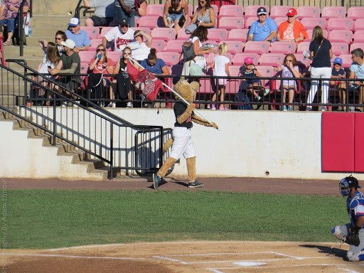 Stadium «Yogi Berra Stadium», reviews and photos, 27 Clove Rd, Little Falls, NJ 07424, USA