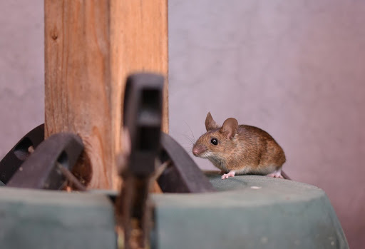 Handyman «Fix It - MA Metro West Handyman & General Contractor», reviews and photos, 10 Pearl St suite #1, Framingham, MA 01702, USA