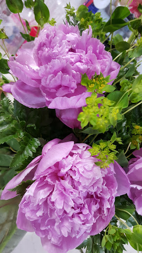 Florist «Joyce Florist of Dallas, Inc.», reviews and photos, 2729 S Hampton Rd, Dallas, TX 75224, USA