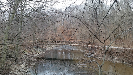 Foot Bridge in Pennypack Park