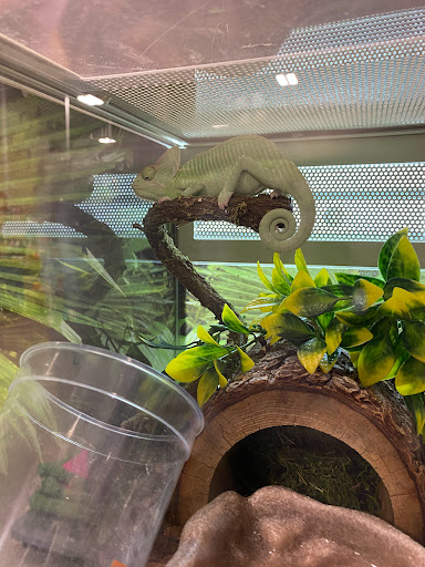 Pet Supply Store «PetSmart», reviews and photos, 849 E 23rd St, Panama City, FL 32405, USA