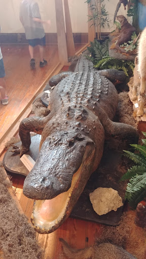 Museum «Old Davie School Historical Museum», reviews and photos, 6650 Griffin Rd, Davie, FL 33314, USA