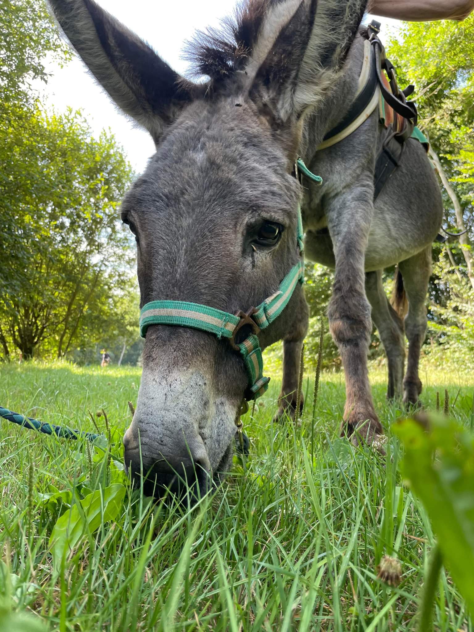Photo n° 1 de l'avis de Frédérique.R fait le 10/08/2022 à 13:50