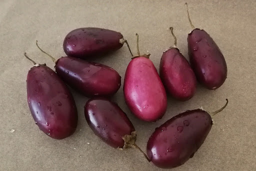 Grocery Store «Arax Market», reviews and photos, 585 Mt Auburn St, Watertown, MA 02472, USA