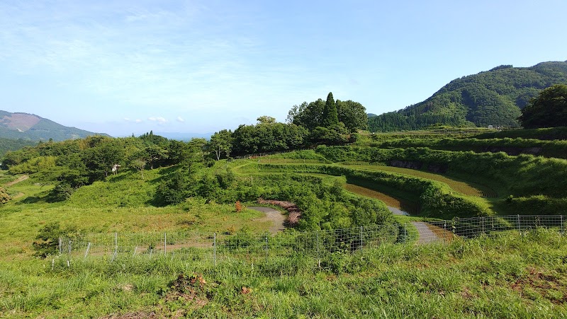 鳥の巣棚田