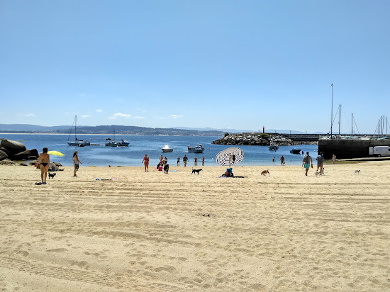 Dog beach O Espino