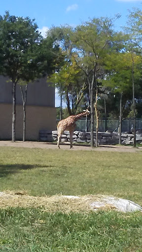 Animal Park «Detroit Zoo Safari Station Exit», reviews and photos, Ludlow Pl, Huntington Woods, MI 48070, USA