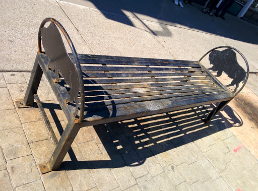 Gift Shop «Everything Elmwood», reviews and photos, 740 Elmwood Ave, Buffalo, NY 14222, USA