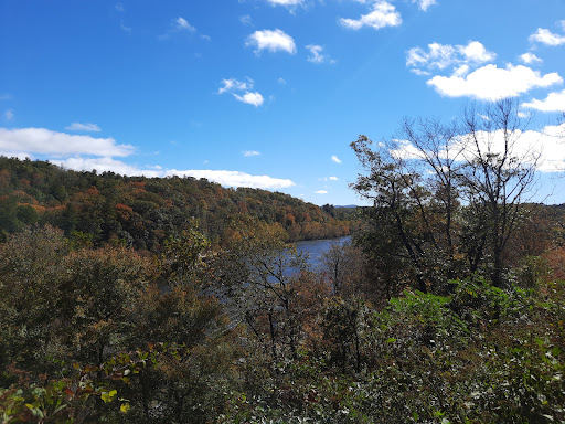 Tourist Attraction «French Broad Overlook», reviews and photos, 3938 Blue Ridge Pkwy, Arden, NC 28704, USA
