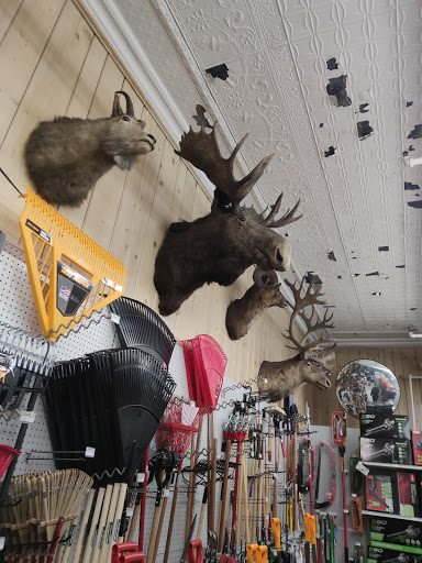 Hardware Store «Lemoi Ace Hardware», reviews and photos, 1008 Davis St, Evanston, IL 60201, USA