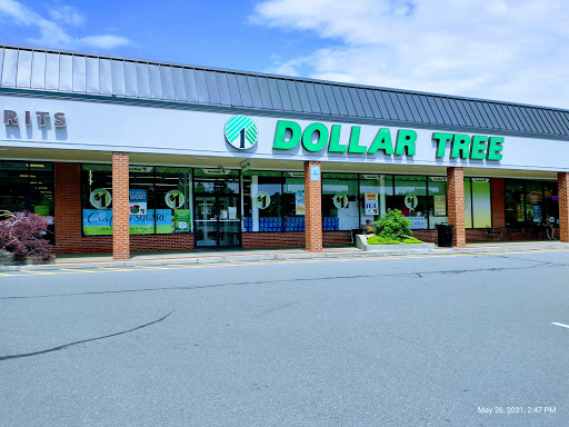 Dollar Store «Dollar Tree», reviews and photos, 5253 Library Rd, Bethel Park, PA 15102, USA