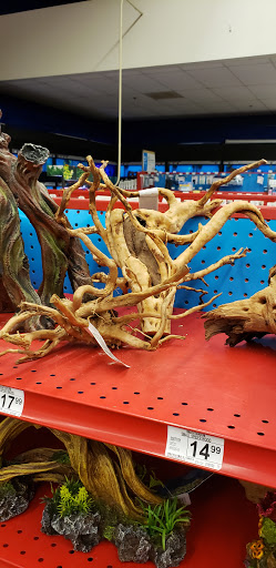 Pet Supply Store «Petco Animal Supplies», reviews and photos, 9230 Old Keene Mill Rd b, Burke, VA 22015, USA