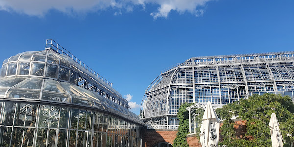 Botanischer Garten und Botanisches Museum