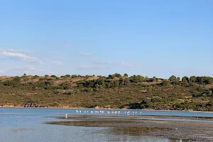 Tuz Lake image