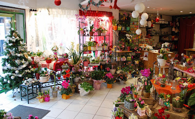 Floralys à Ham