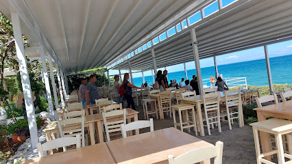 White Shark Beach bar
