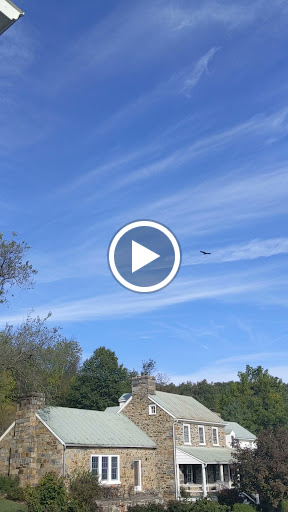 Winery «Hillsborough Vineyards», reviews and photos, 36716 Charles Town Pike, Purcellville, VA 20132, USA