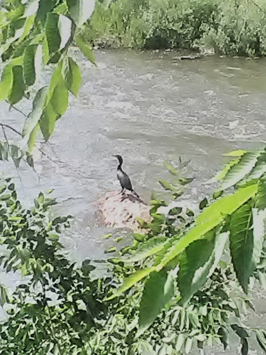 Park «City of Cuernavaca Park», reviews and photos, 3500 Rockmont Dr, Denver, CO 80202, USA