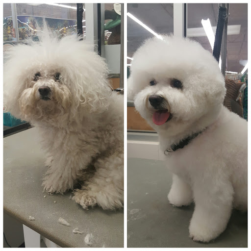 Pet Supply Store «Petco Animal Supplies», reviews and photos, 6672 Lonetree Blvd, Rocklin, CA 95765, USA