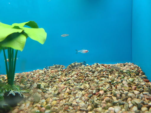 Pet Supply Store «PetSmart», reviews and photos, 315 Gellert Blvd, Daly City, CA 94015, USA