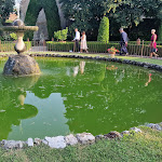 Photo n°1 de l'avis de DEBORA. fait le 23/07/2023 à 18:04 sur le  Ristorante Le Cedrare à Illasi