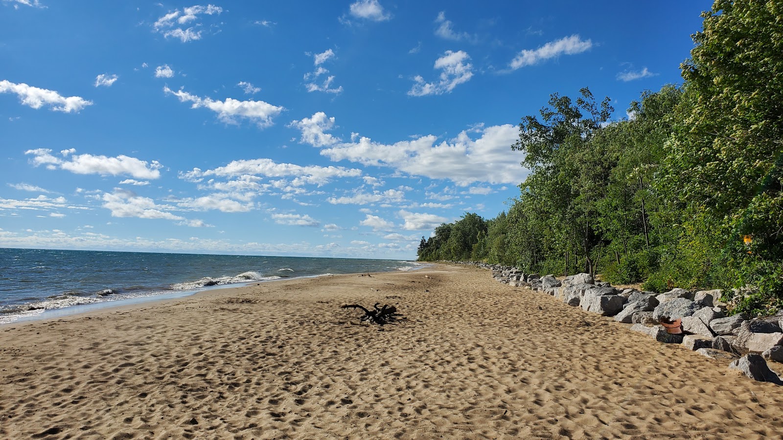 Foto de Four Mile Scenic Turnout Beach com linha costeira longa e reta