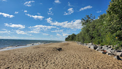Foto di Four Mile Scenic Turnout Beach con costa lunga e dritta