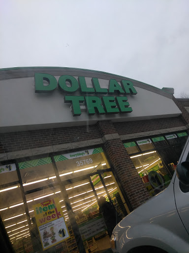 Dollar Store «Dollar Tree», reviews and photos, 35769 Van Born Rd, Romulus, MI 48174, USA