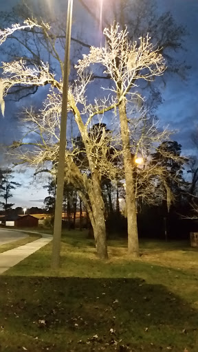 Park «Dennis Johnston Park», reviews and photos, 709 Riley Fuzzel Rd, Spring, TX 77373, USA