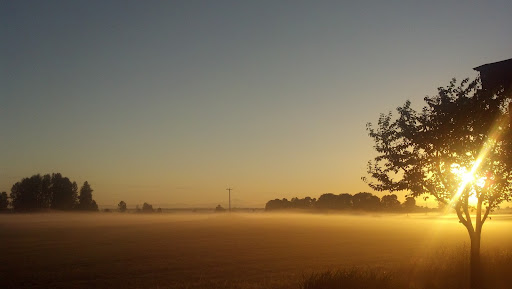 Auto Insurance Agency «Focus 1 Insurance», reviews and photos