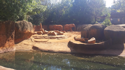 Zoo «Zoo Atlanta», reviews and photos, 800 Cherokee Ave SE, Atlanta, GA 30315, USA