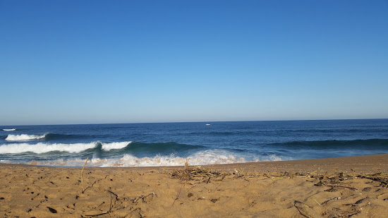 Tinley Manor beach I