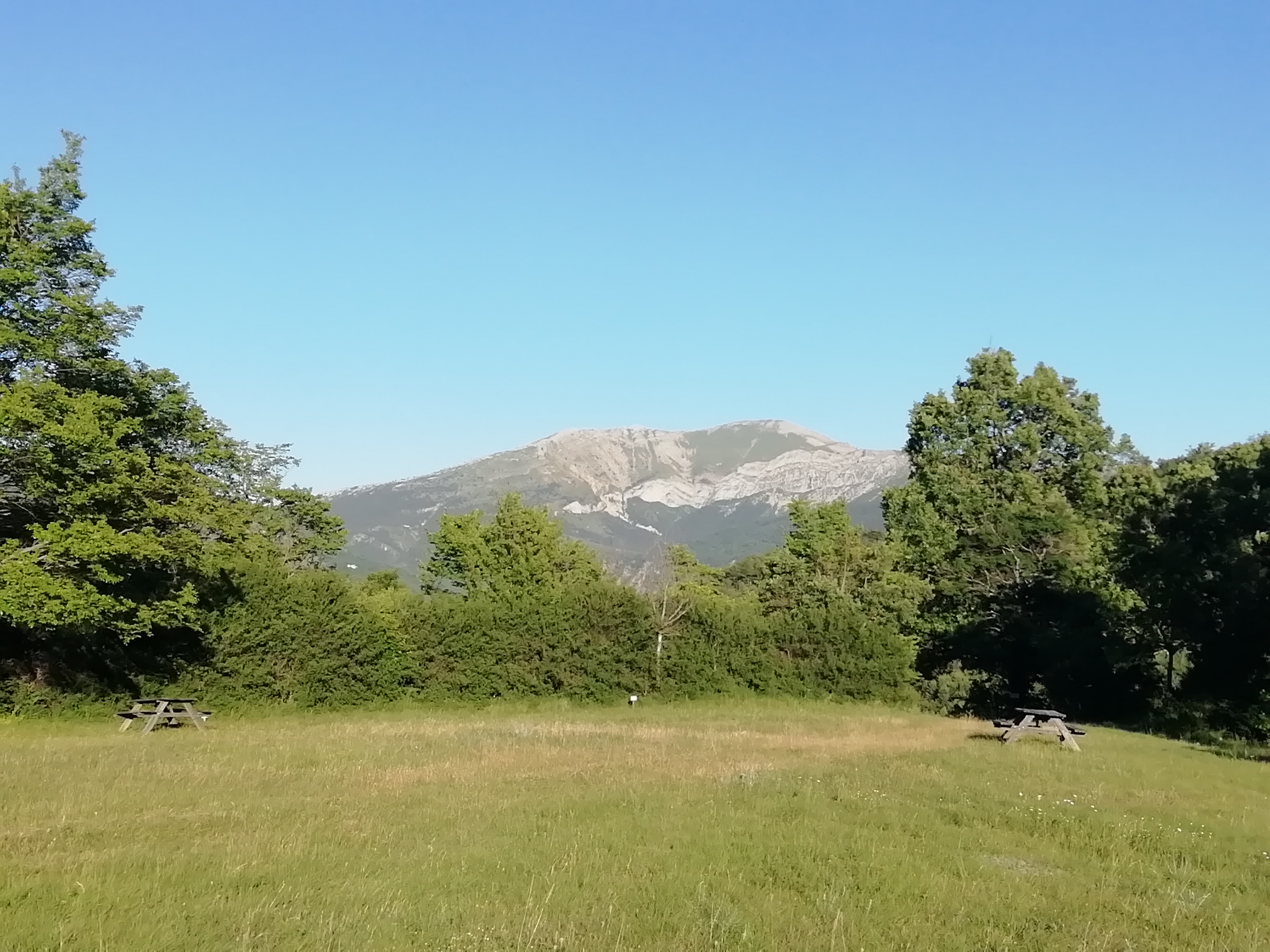 Photo n° 3 de l'avis de rosso.e fait le 13/06/2022 à 17:56