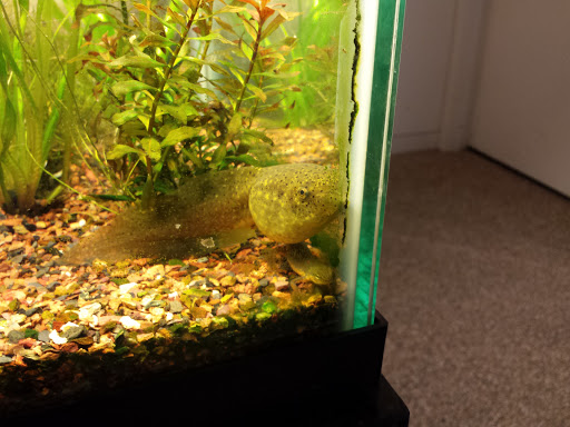 Natural History Museum «South Fork Natural History Museum & Nature Center», reviews and photos, 377 Bridgehampton-Sag Harbor Turnpike, Bridgehampton, NY 11932, USA