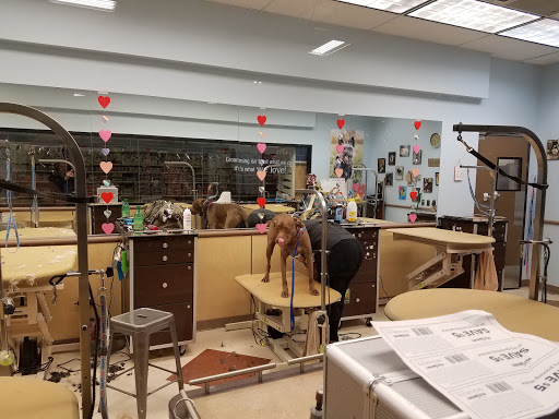 Pet Supply Store «PetSmart», reviews and photos, 13241 Gateway Center Dr, Gainesville, VA 20155, USA