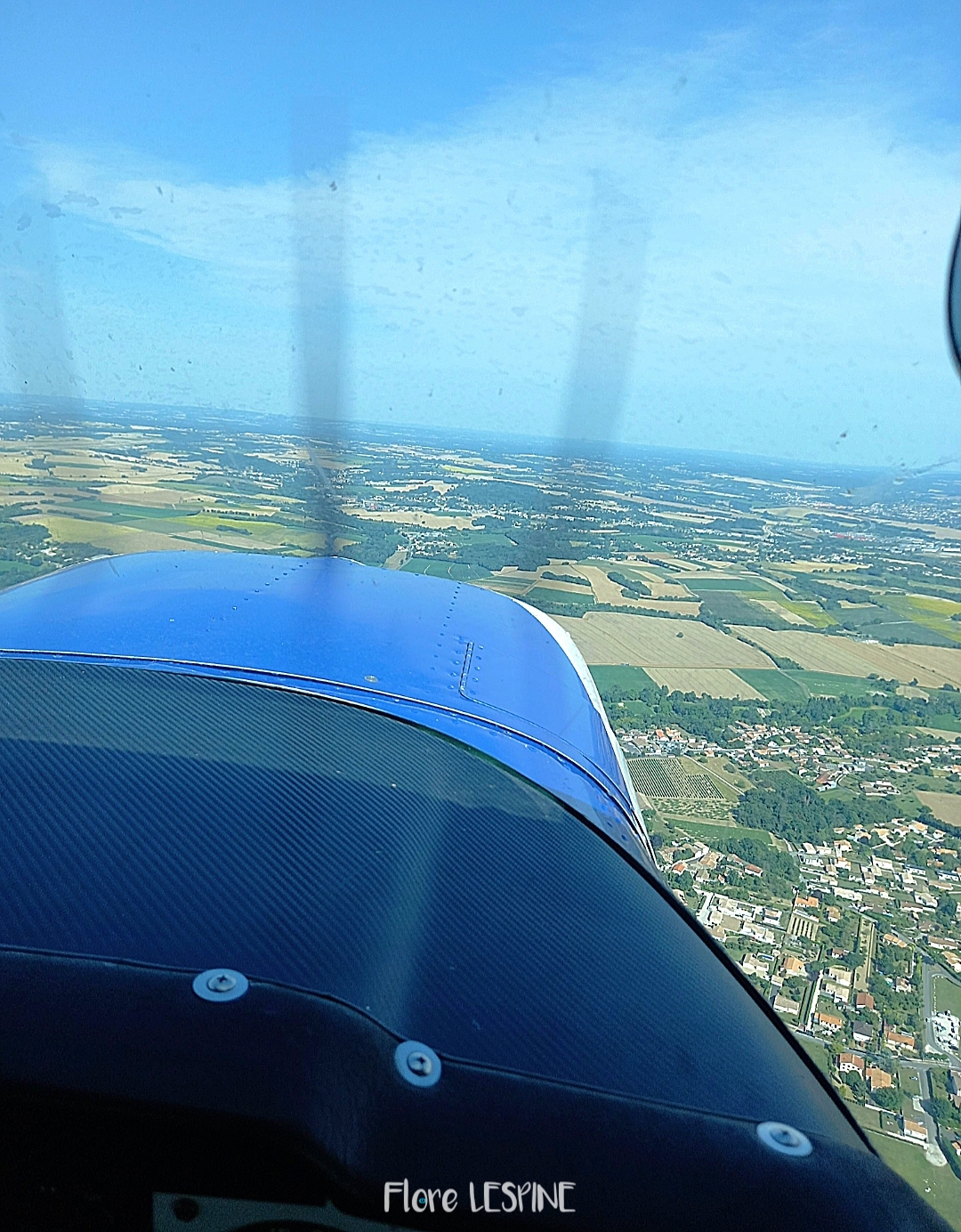 Photo n° 4 de l'avis de Flore.e fait le 12/07/2023 à 15:46