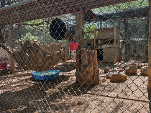 Wildlife Rescue Service «Southwest Wildlife Conservation Center», reviews and photos, 27026 N 156th St, Scottsdale, AZ 85262, USA