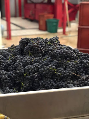 Thévenet-Delouvin Xavier à Passy-Grigny