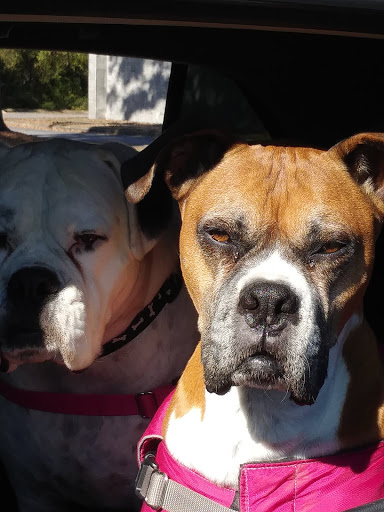 Tobacco Shop «Tobacco SuperStore #29», reviews and photos, 3807 Camp Robinson Rd, North Little Rock, AR 72118, USA