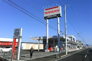 Nissan Satio Togane image