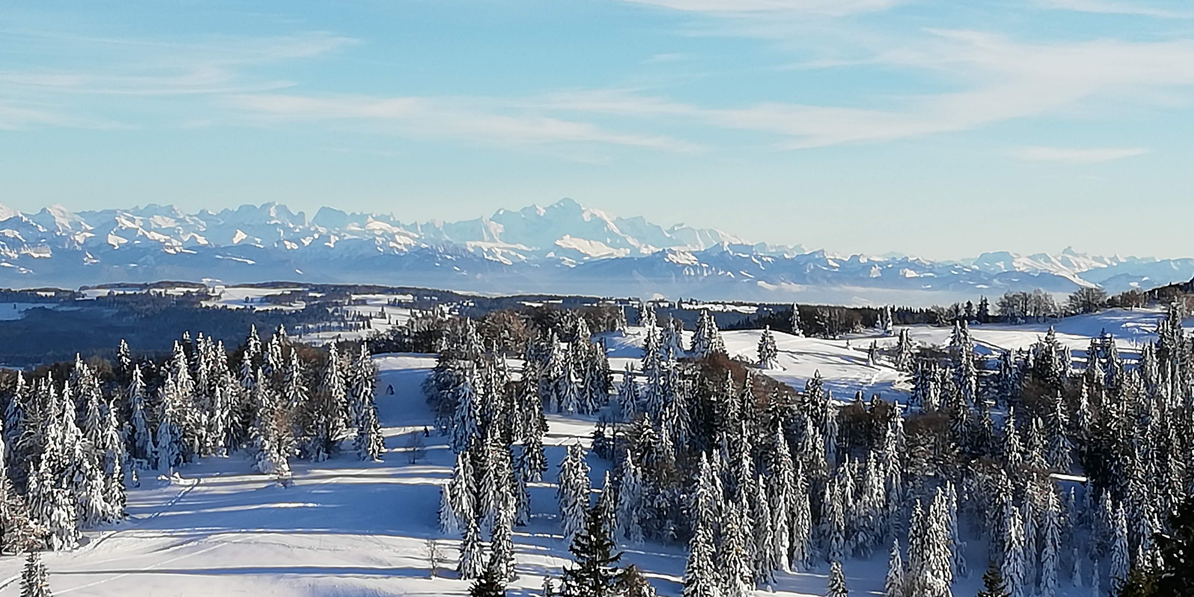 Photo n° 2 de l'avis de Parmic.i fait le 06/02/2019 à 17:35