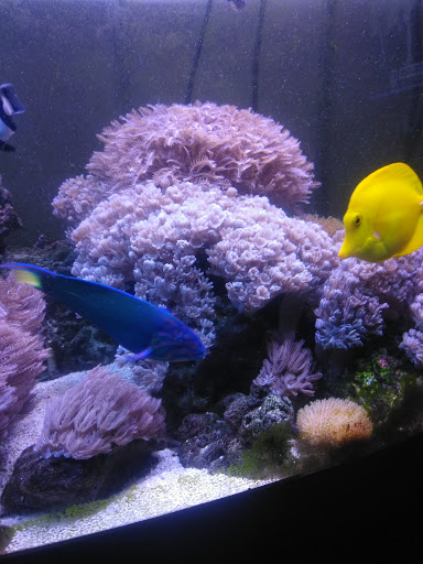 Used Auto Parts Store «Arite Used Auto Parts», reviews and photos, 116 Christian Ln, New Britain, CT 06051, USA