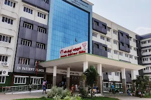 Government medical college and hospital pudukkottai image