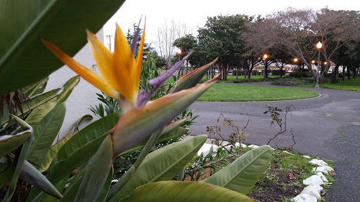 Park «Mount Eden Park», reviews and photos, 2451 W Tennyson Rd, Hayward, CA 94545, USA