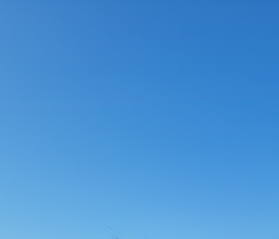 Petco Sania (Express) photo